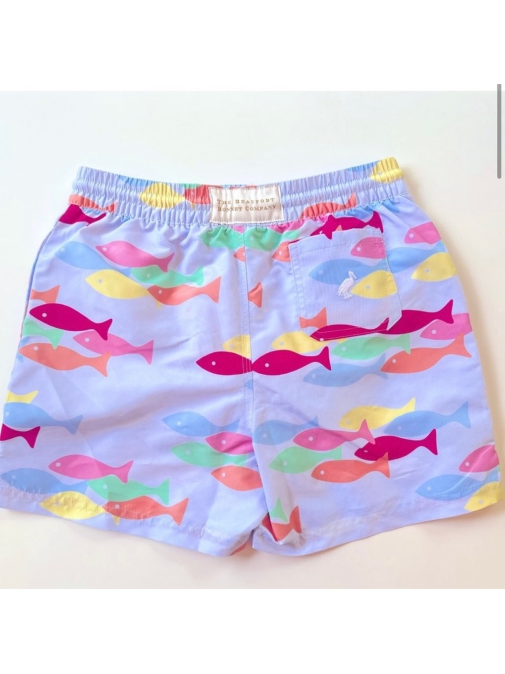TBBC boys Tortola Swim Trunks in adorable French Leave Fishes pattern, size 10